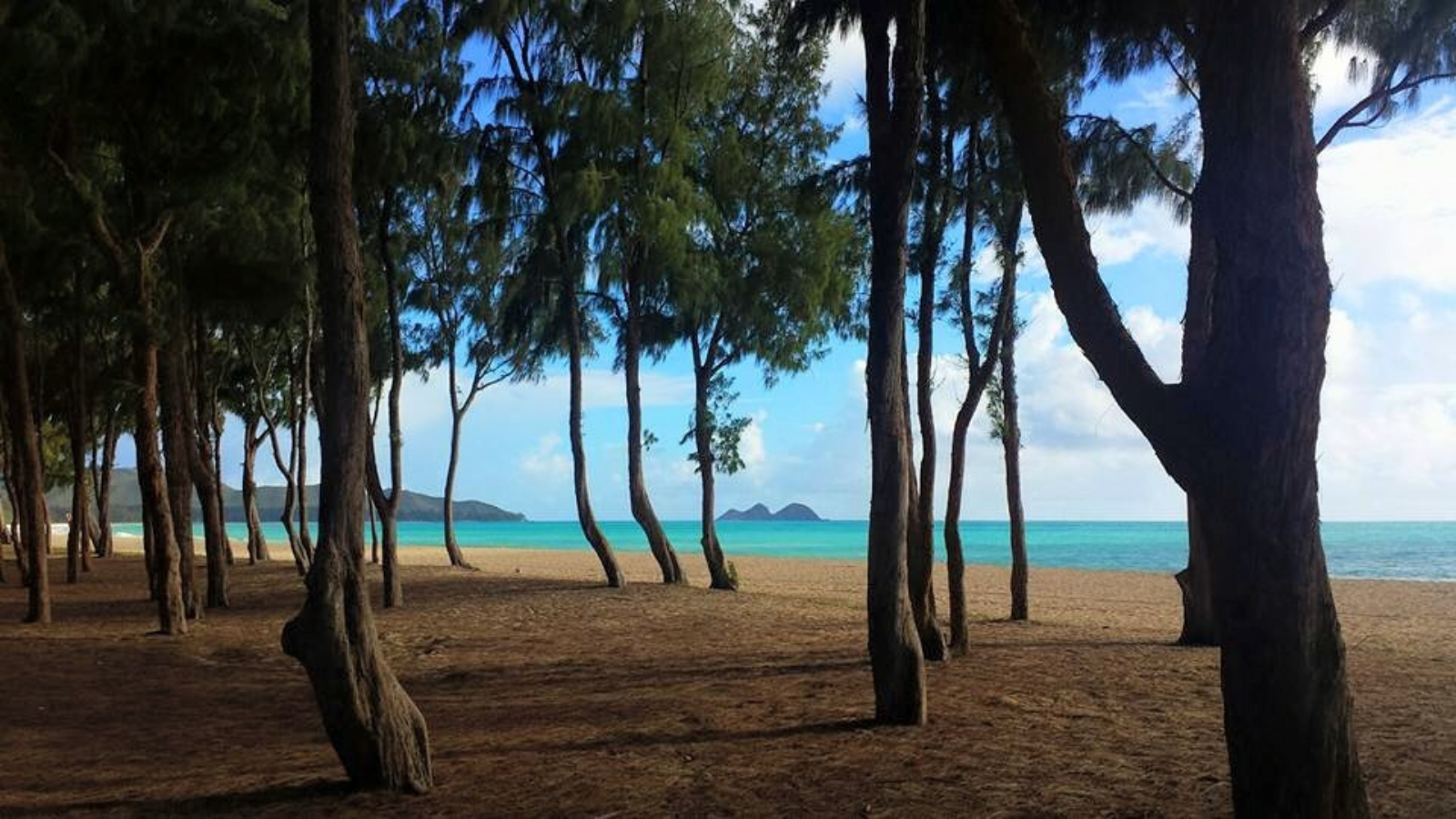 amazing hawaii beach