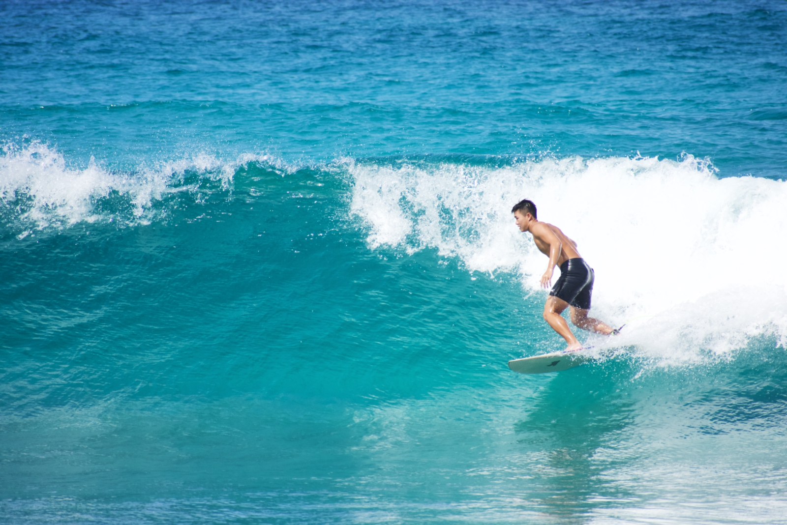 beautiful hawaii beach with surfer