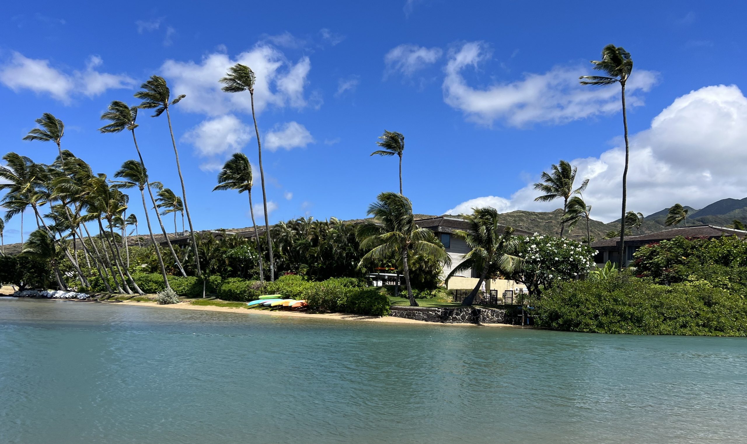 beautiful home and beach on lagoon in hawaii kai